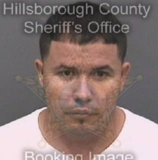 Penasanchez Alen - Hillsborough County, Florida 