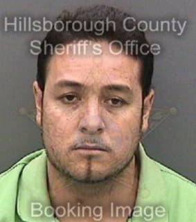 Martinezceron Edgar - Hillsborough County, Florida 