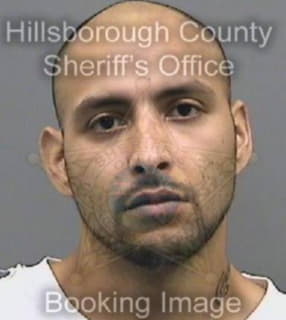 Vega Jason - Hillsborough County, Florida 