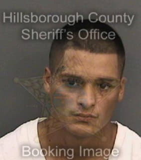 Martinez Luis - Hillsborough County, Florida 