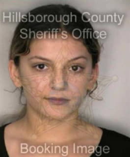 Barnett Shuana - Hillsborough County, Florida 