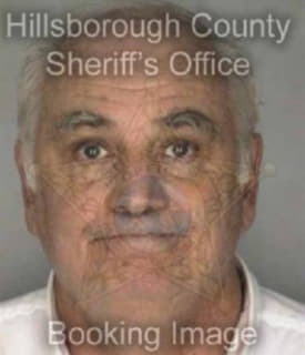 Laslo William - Hillsborough County, Florida 