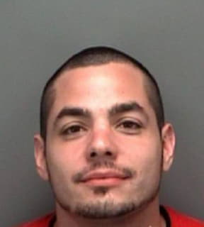 Colon Anthony - Pinellas County, Florida 