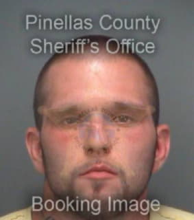 Hayes Christopher - Pinellas County, Florida 