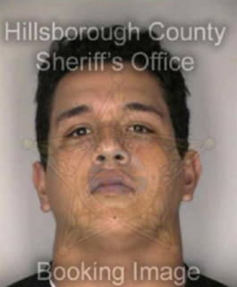 Rivera Jose - Hillsborough County, Florida 