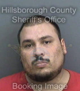 Delvalle Juan - Hillsborough County, Florida 