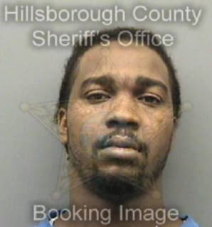 Mickens Matthew - Hillsborough County, Florida 