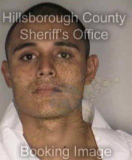 Dominguez Neftali - Hillsborough County, Florida 