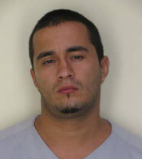 Nieto Nicolas - Hillsborough County, Florida 