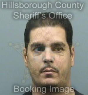 Dejesus Carlos - Hillsborough County, Florida 