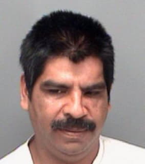 Morales Anselmo - Pinellas County, Florida 