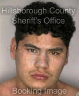 Minjares David - Hillsborough County, Florida 