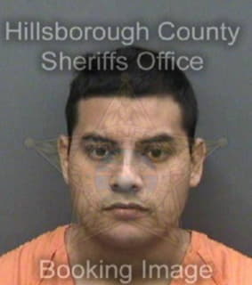 Ramirez Guillermo - Hillsborough County, Florida 