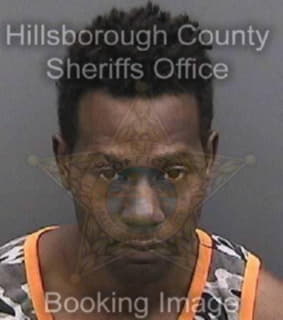 Perkins Joseph - Hillsborough County, Florida 