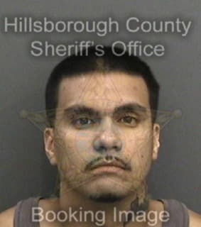 Velezhernandez Steven - Hillsborough County, Florida 