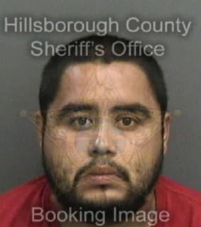 Villarreal Juan - Hillsborough County, Florida 