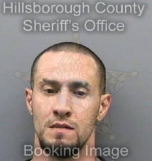 Milian Michael - Hillsborough County, Florida 