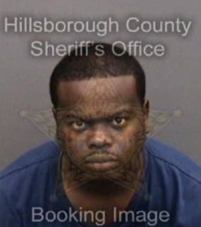 Robinson Roger - Hillsborough County, Florida 