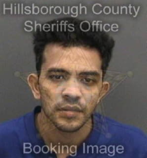 Patel Nishitkumar - Hillsborough County, Florida 