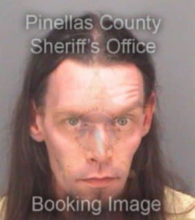 Delisle Damon - Pinellas County, Florida 