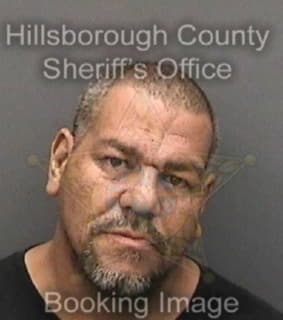 Deleon Miguel - Hillsborough County, Florida 