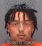 Meyers Avery - Pinellas County, Florida 