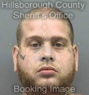 Perez Daniel - Hillsborough County, Florida 