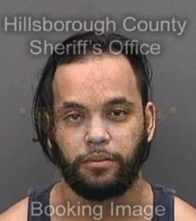 Lopezgamboa Javier - Hillsborough County, Florida 