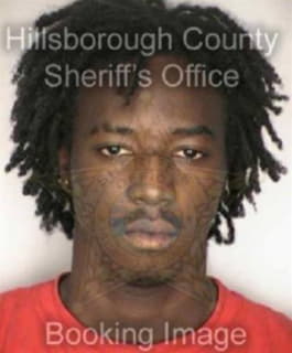 Williams Javon - Hillsborough County, Florida 