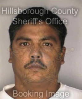 Martinez Jose - Hillsborough County, Florida 