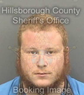 Nielsen Matthew - Hillsborough County, Florida 