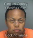 Brunson Michelle - Pinellas County, Florida 