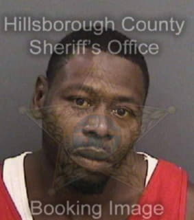 Pierce Michael - Hillsborough County, Florida 