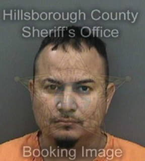 Rodriguez Pedro - Hillsborough County, Florida 