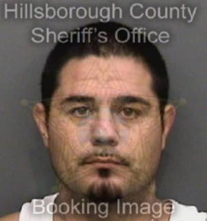 Weimer Anthony - Hillsborough County, Florida 