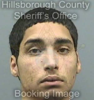 Vasquez Christopher - Hillsborough County, Florida 