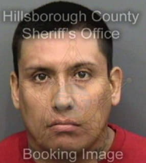 Villagomez Jimenez - Hillsborough County, Florida 