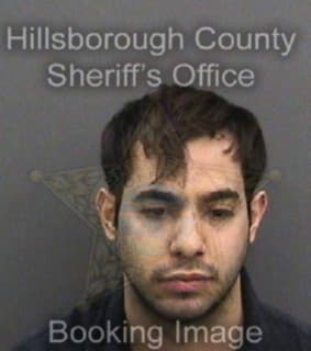 Lopezguinand Juan - Hillsborough County, Florida 