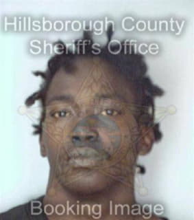 Johnson Laurice - Hillsborough County, Florida 