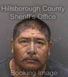 Ramos Marcelino - Hillsborough County, Florida 