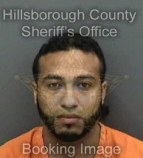 Rodriguezrodriguez Mario - Hillsborough County, Florida 