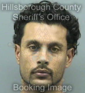 Velazquez Norberto - Hillsborough County, Florida 