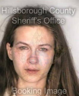 Mclaughlin Nicole - Hillsborough County, Florida 