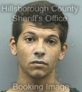 Lind Tylor - Hillsborough County, Florida 