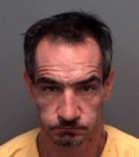 Wiley David - Pinellas County, Florida 