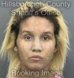 Carbonell Dayna - Hillsborough County, Florida 