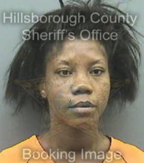 Robinson Desinetta - Hillsborough County, Florida 