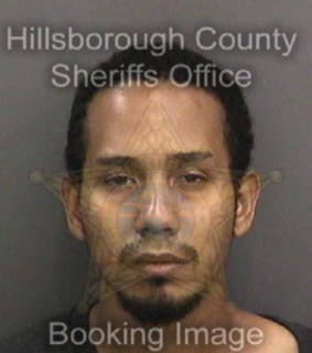 Nieves Luis - Hillsborough County, Florida 