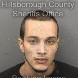 Rivera Michael - Hillsborough County, Florida 