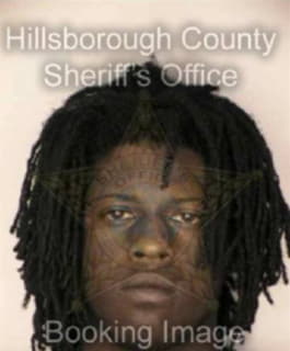 Robinson Michael - Hillsborough County, Florida 